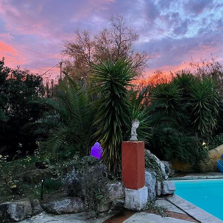 Le Clos De L'Isle Arles Buitenkant foto