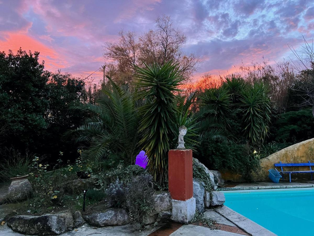 Le Clos De L'Isle Arles Buitenkant foto