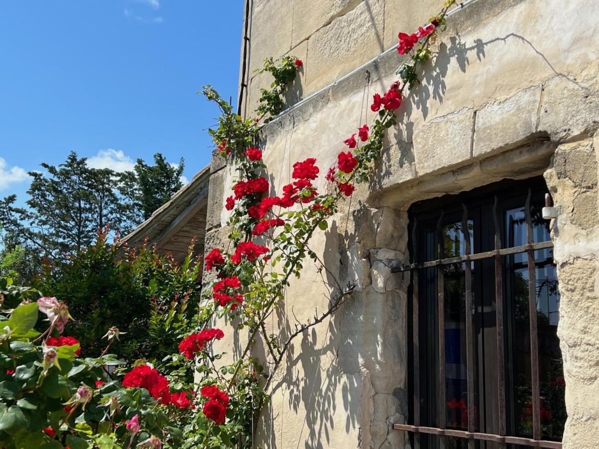 Le Clos De L'Isle Arles Buitenkant foto